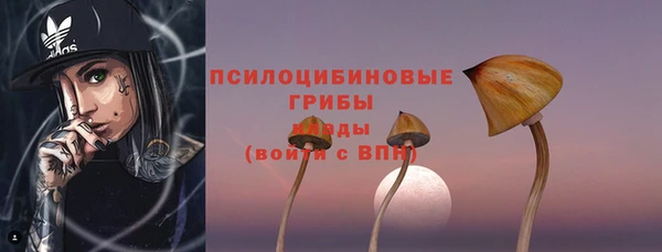 ПСИЛОЦИБИНОВЫЕ ГРИБЫ Балахна
