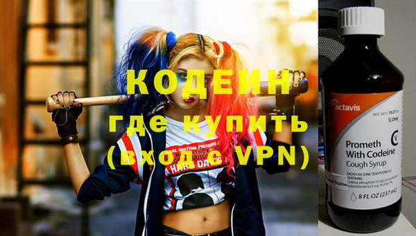 гашик Кулебаки